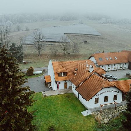 Penzion Brusinka Kocourov  Exterior foto