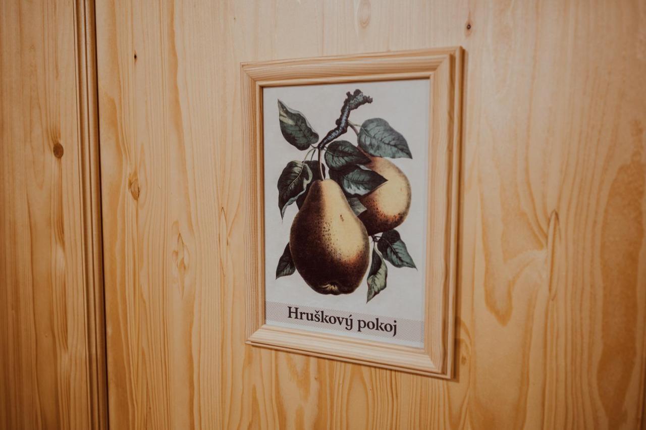 Penzion Brusinka Kocourov  Exterior foto