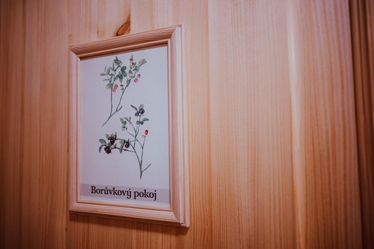 Penzion Brusinka Kocourov  Exterior foto